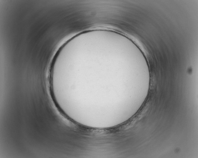 X0000116661003201001111246