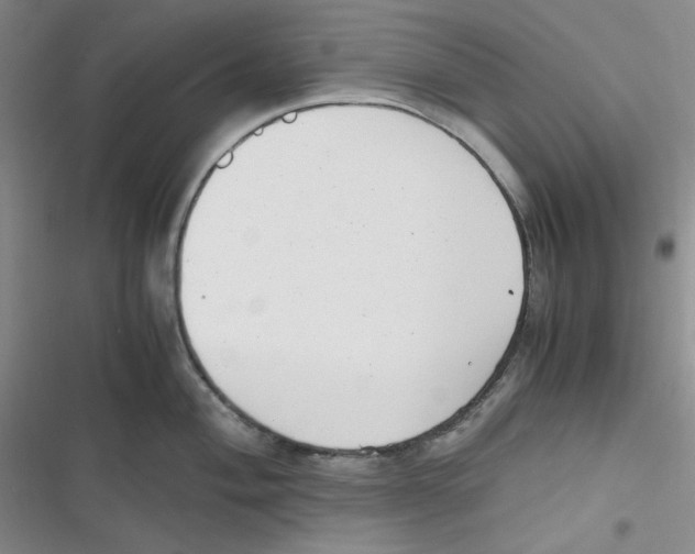 X0000116661004201001111246