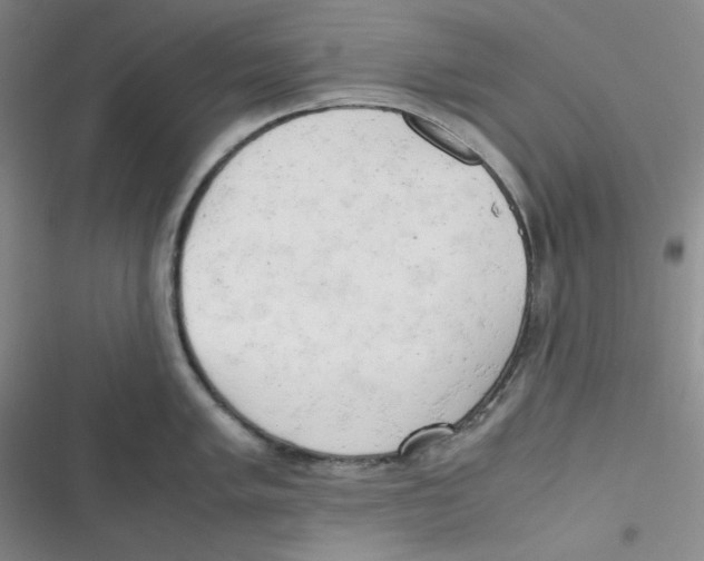 X0000116661005201001111246