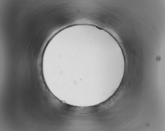 X0000116661008201001111246