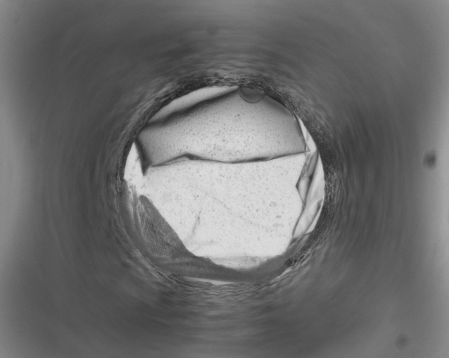 X0000116661009201001111245