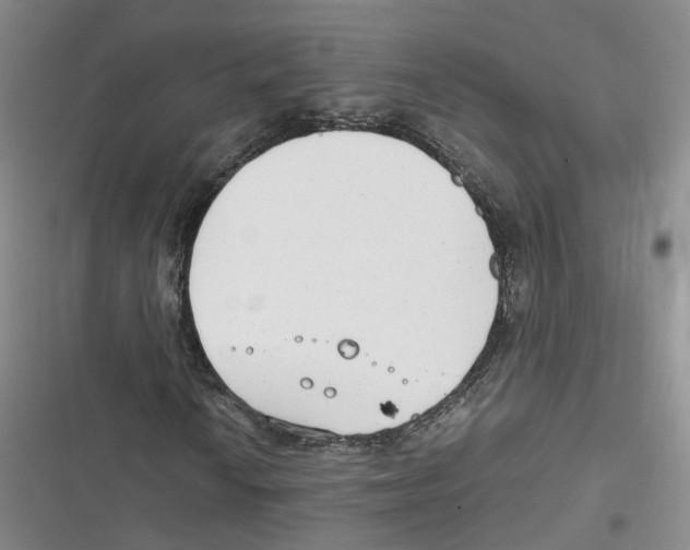 X0000116661010201001111245