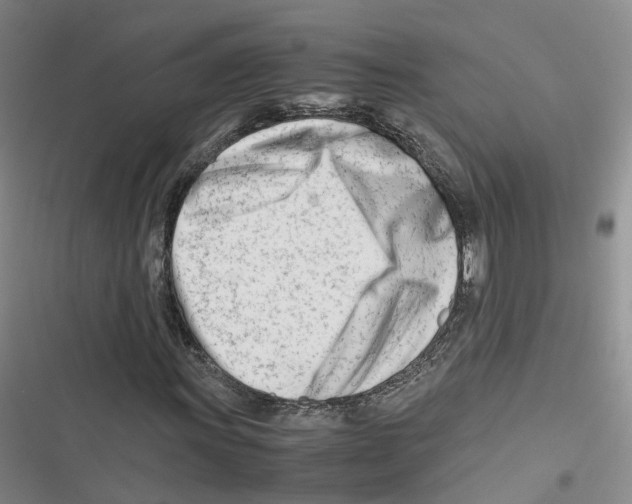 X0000116661011201001111245