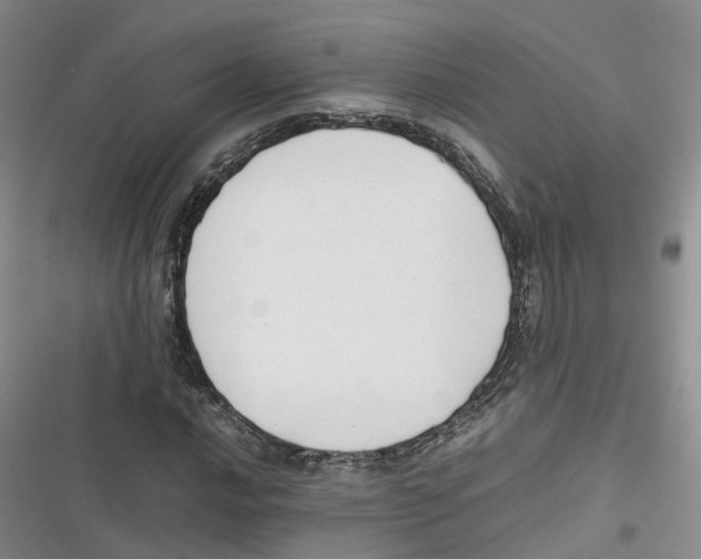 X0000116661016201001111245