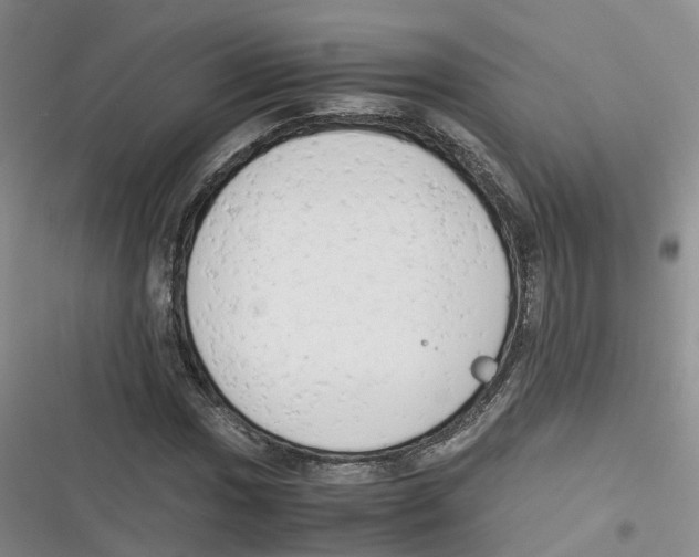 X0000116661017201001111245