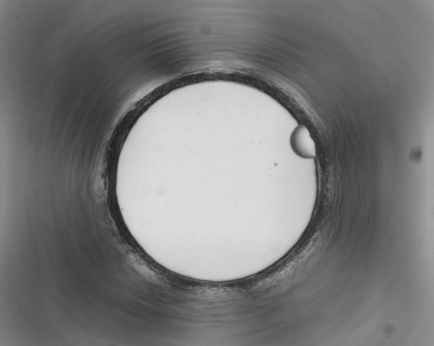 X0000116661018201001111245