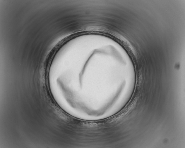 X0000116661019201001111245