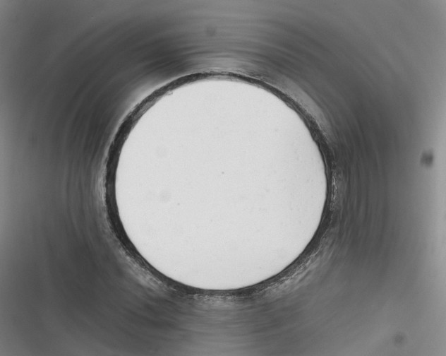 X0000116661020201001111245