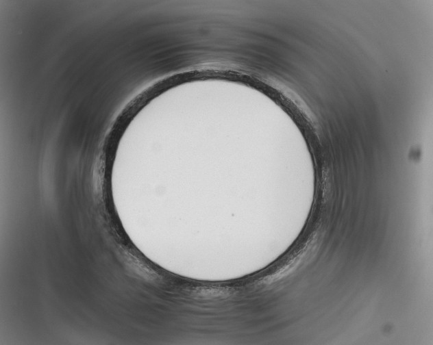 X0000116661021201001111245