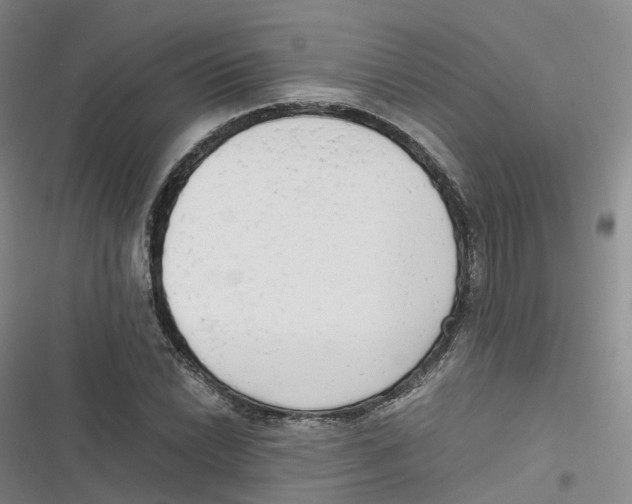 X0000116661022201001111245