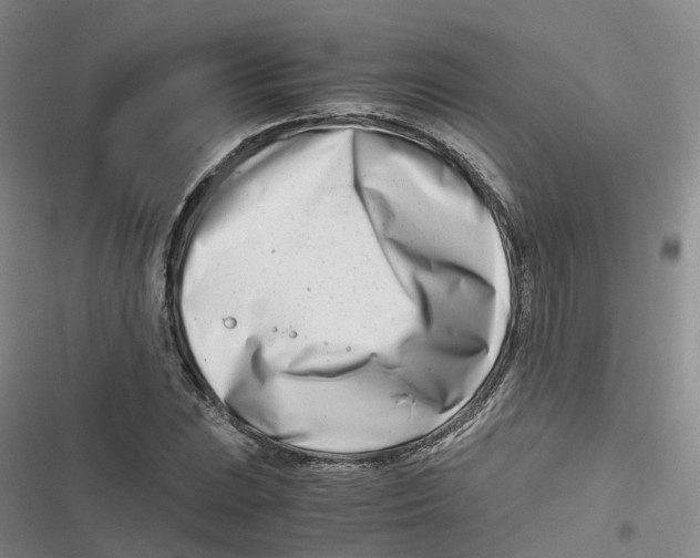 X0000116661023201001111245