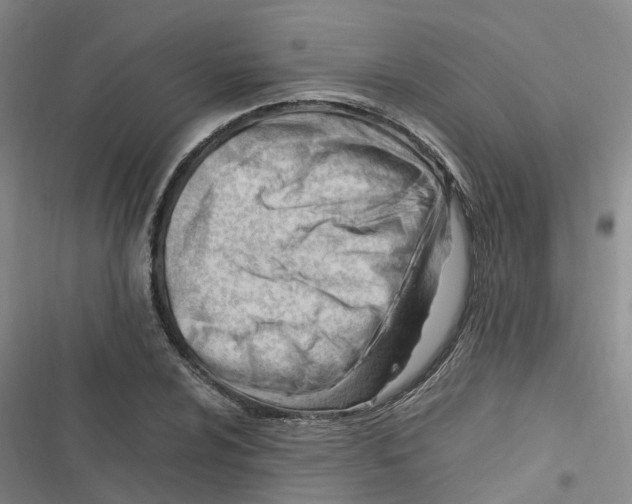 X0000116661024201001111245