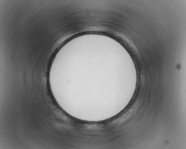 X0000116661025201001111245
