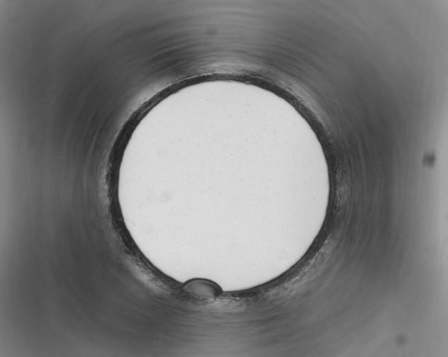 X0000116661026201001111245