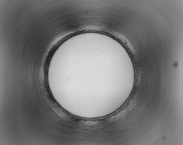 X0000116661027201001111245