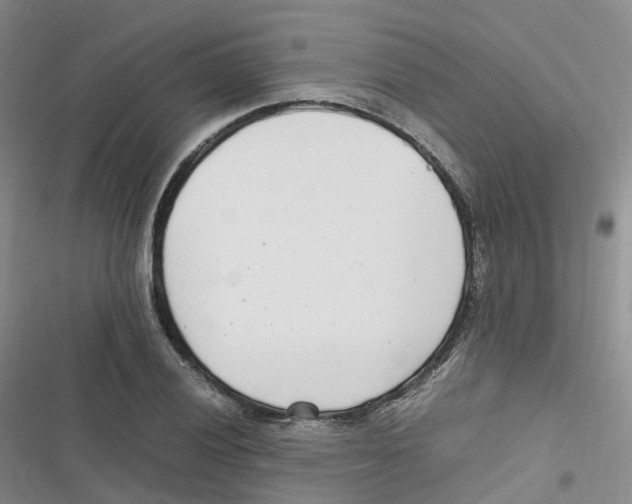 X0000116661028201001111245