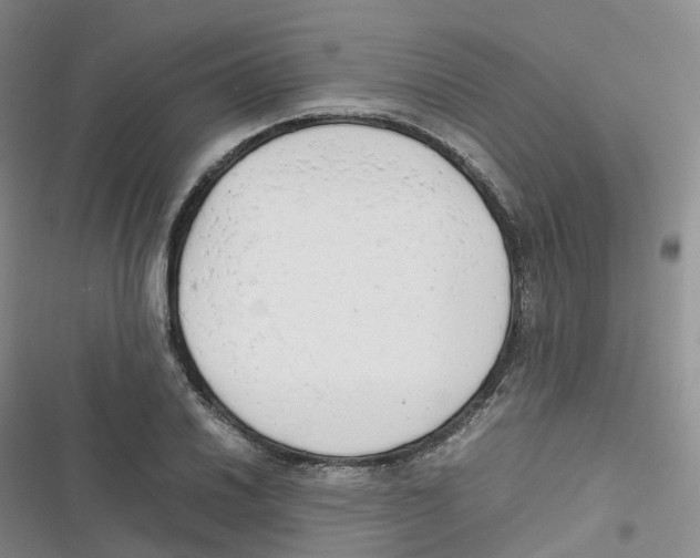 X0000116661030201001111245