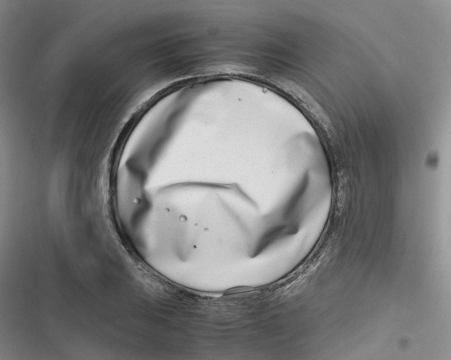 X0000116661031201001111245