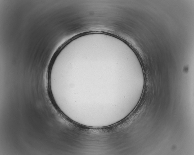 X0000116661032201001111245