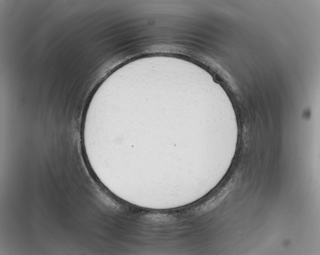X0000116661033201001111246