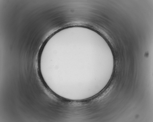 X0000116661034201001111246