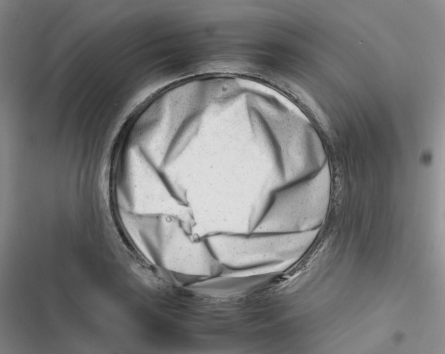 X0000116661035201001111246
