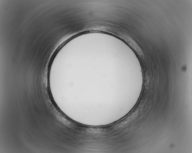 X0000116661036201001111246
