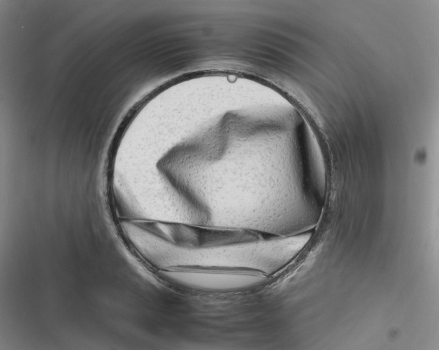 X0000116661037201001111246