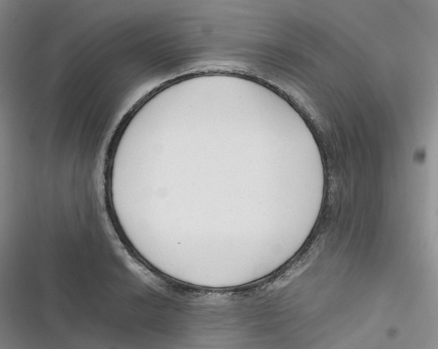 X0000116661038201001111246