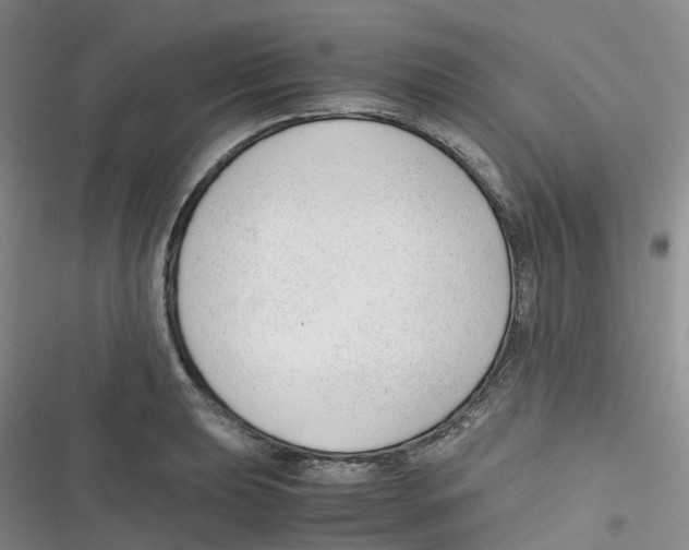 X0000116661039201001111246