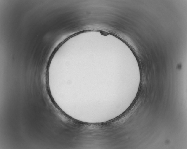 X0000116661040201001111246