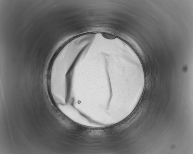 X0000116661043201001111246