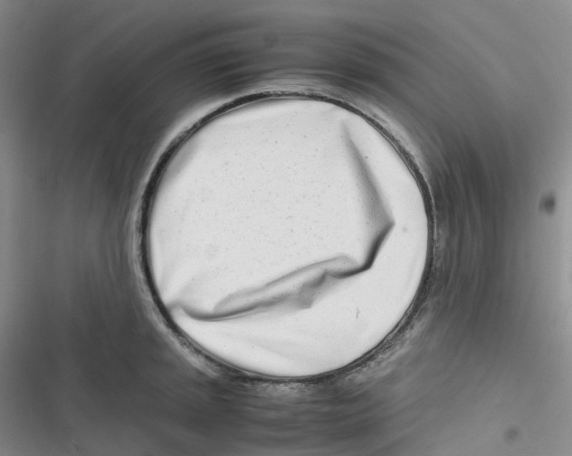 X0000116661045201001111246