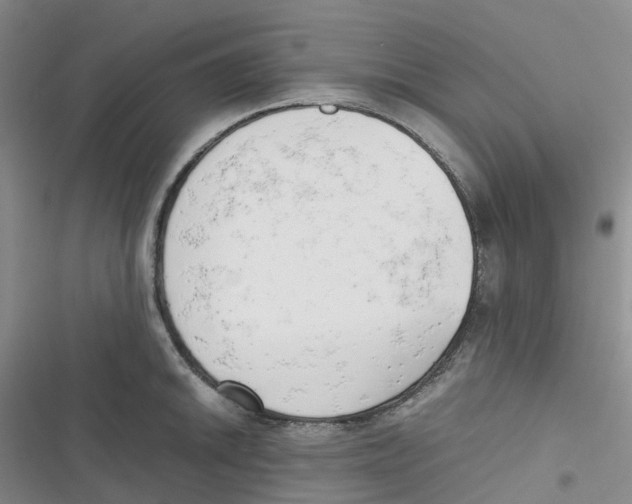 X0000116661046201001111246