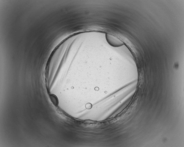X0000116661047201001111246