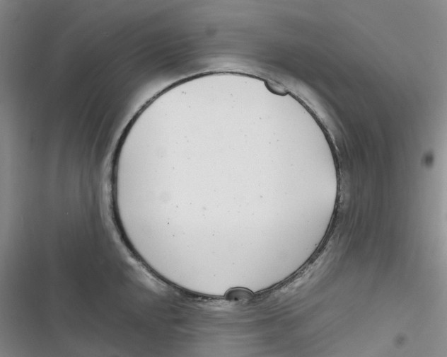 X0000116661048201001111246