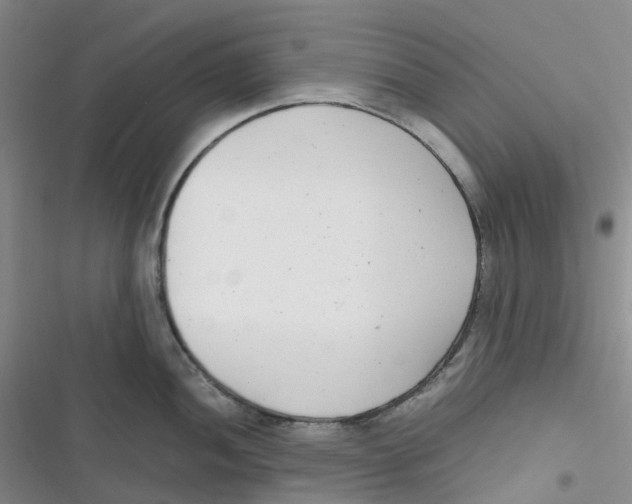 X0000116661052201001111246
