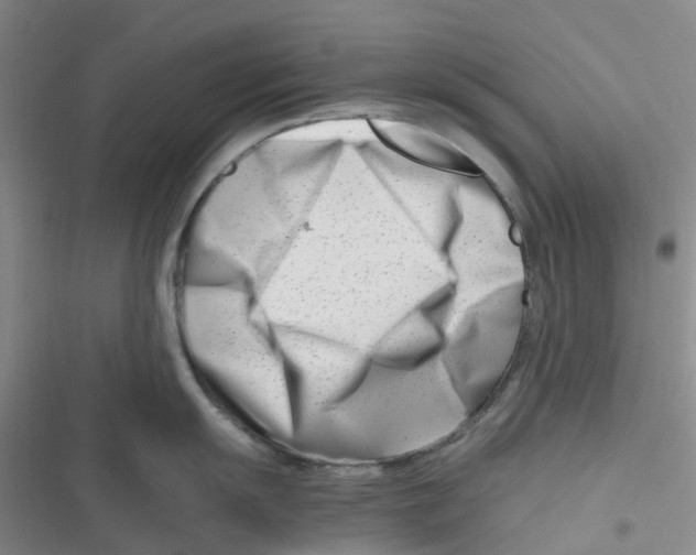 X0000116661055201001111246