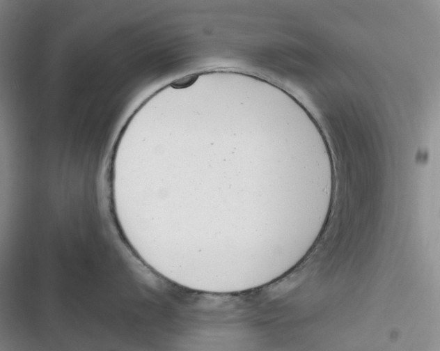 X0000116661056201001111246