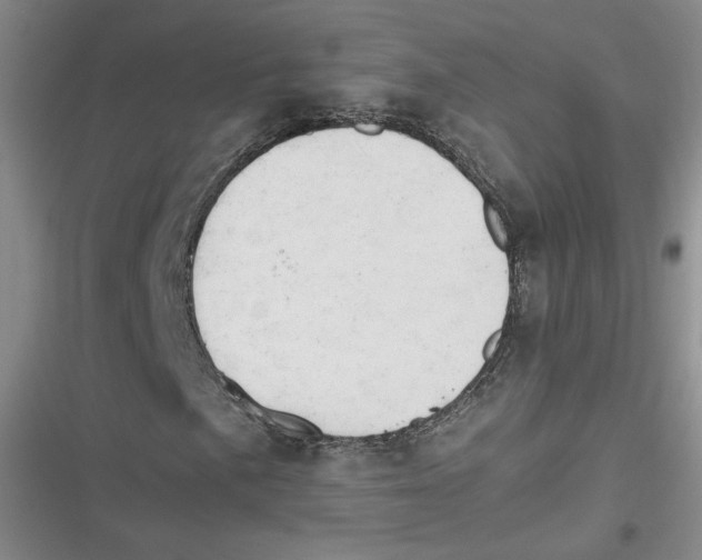 X0000116661057201001111245