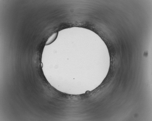 X0000116661058201001111245