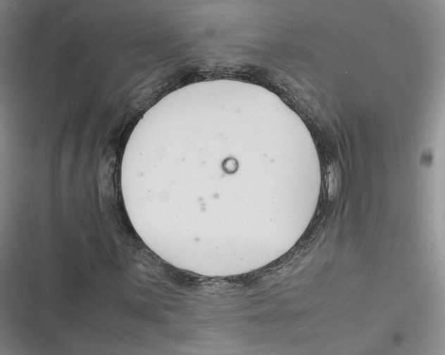 X0000116661059201001111245