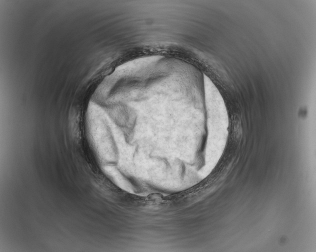 X0000116661060201001111245