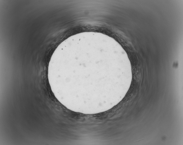 X0000116661061201001111245