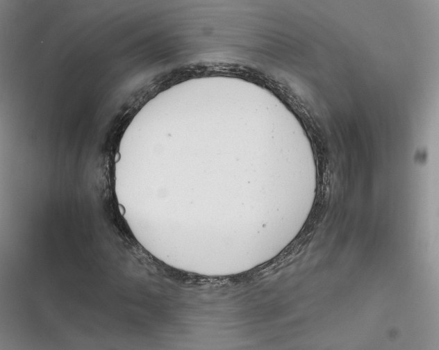 X0000116661062201001111245
