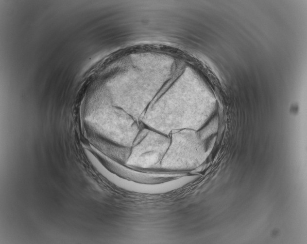 X0000116661064201001111245