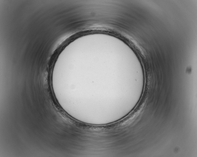 X0000116661066201001111245