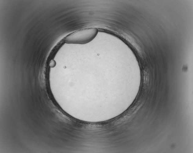 X0000116661068201001111245