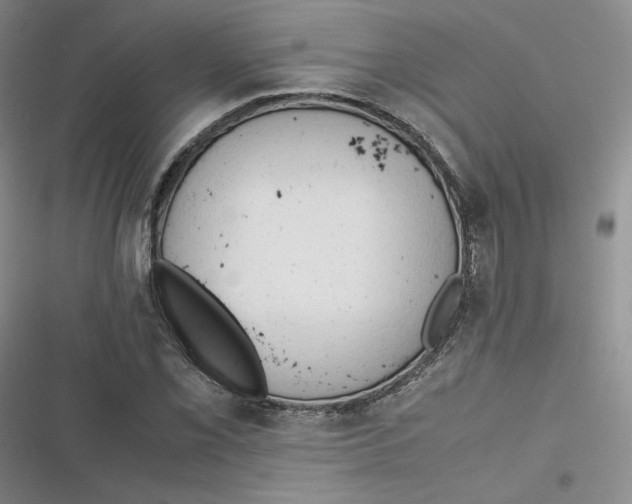 X0000116661069201001111245