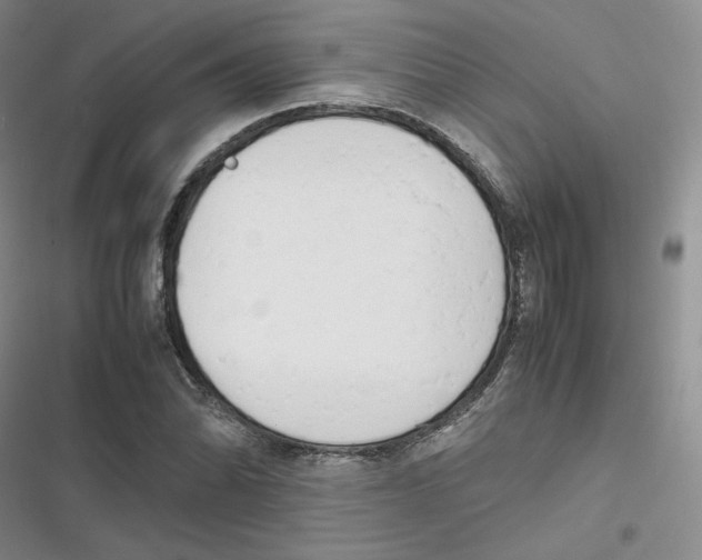 X0000116661070201001111245